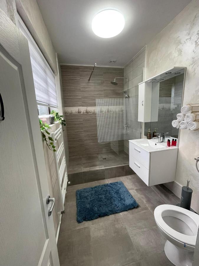 ブザウ Casa Di Davidヴィラ エクステリア 写真
